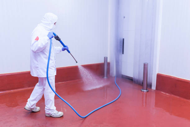 Best Paint Preparation  in Dover Beaches North, NJ